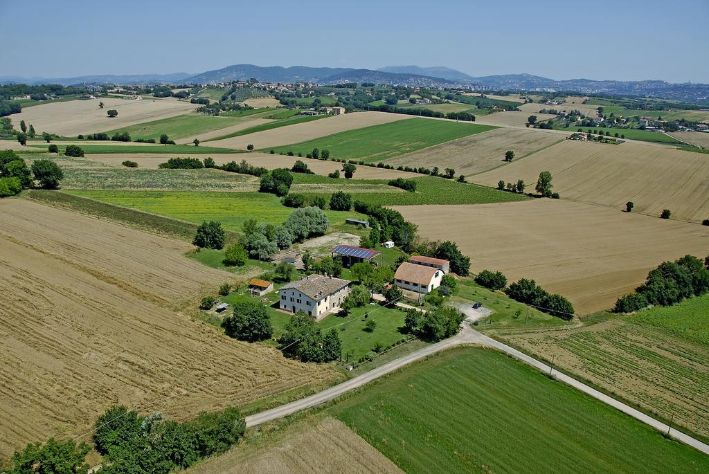 Villa Fattoria Il Bruco Pila  Exterior foto